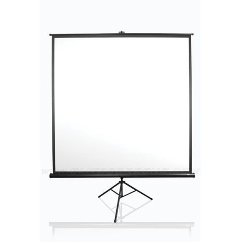 EliteScreens 100"