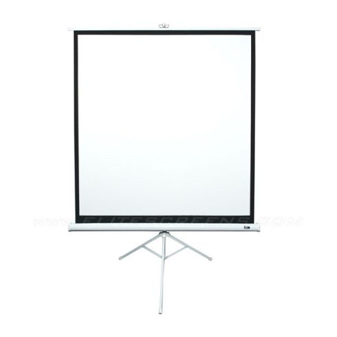 EliteScreens 99"